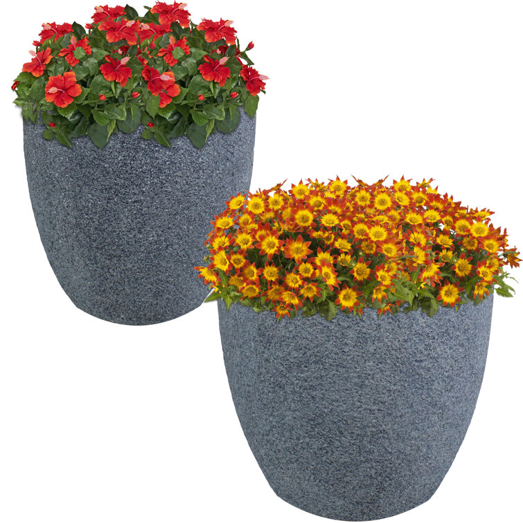 Ivy Bronx Planter Wayfair Canada